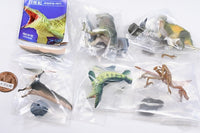 Capsule Q Dinosaurs The Cretaceous [All 5 type set(Full Complete)]