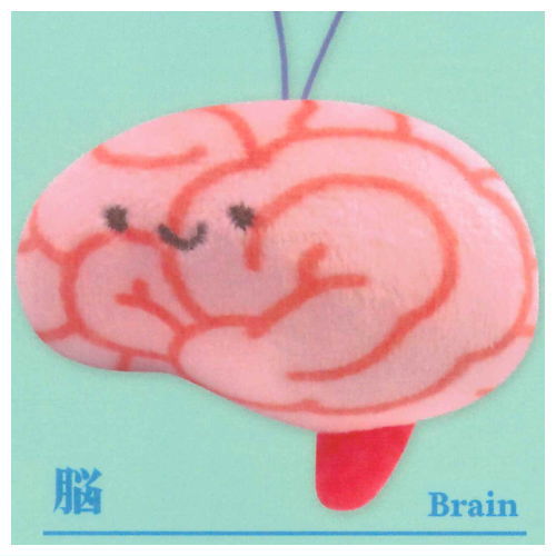 Viscera-kun and Cell-chan. Mascot (Special) [2.Brain]