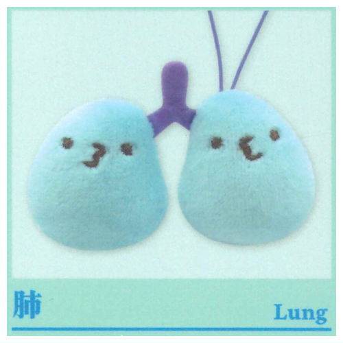 Viscera-kun and Cell-chan. Mascot (Special) [3.Lung]