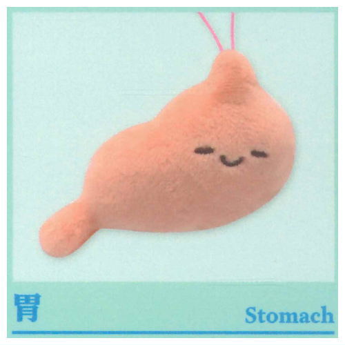 Viscera-kun and Cell-chan. Mascot (Special) [4.Stomach]