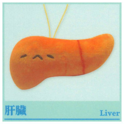 Viscera-kun and Cell-chan. Mascot (Special) [5.Liver]