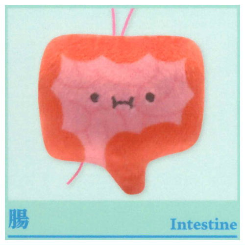 Viscera-kun and Cell-chan. Mascot (Special) [6.Intestine]