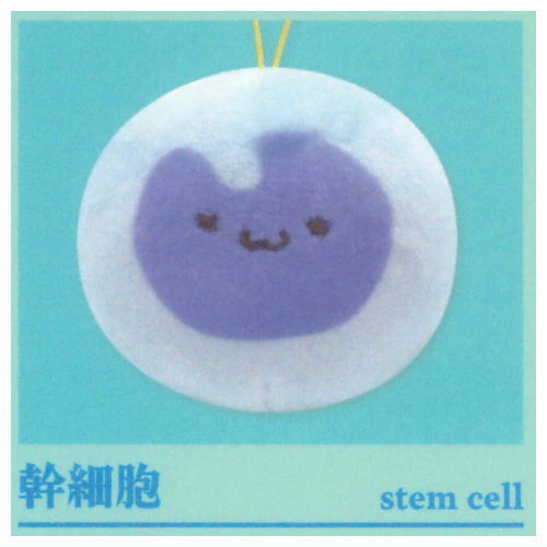Viscera-kun and Cell-chan. Mascot (Special) [9.Stem Cell]