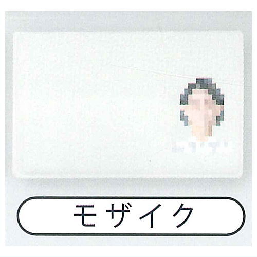Nariwari License Card Holder Part.3 [4.Mosaic]