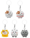 Mochinyami Mejirushi Accessory [All 5 type set(Full Complete)]