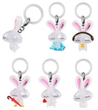 LOVE mejirushi accessory [All 6 type set(Full Complete)]