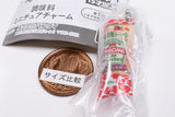 Kagome seasoning miniature charm [2.Kagome Organic Tomato Ketchup 300g]