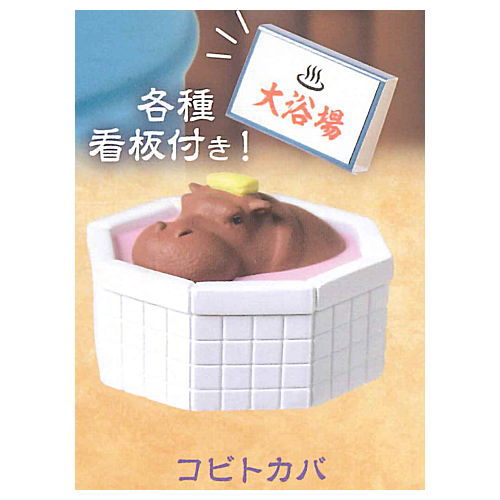 Tadaimanyuyokuchu Hitouwotazunete [5.Pygmy Hippopotamus]