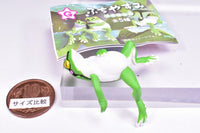 Fuchiyasumi Tree Frog [1.Aomuke]