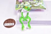 Fuchiyasumi Tree Frog [3.Suwari]