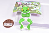 Fuchiyasumi Tree Frog [4.Udegumi]