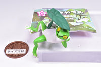 Fuchiyasumi Tree Frog [5.Kasasashi]