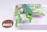 Fuchiyasumi Tree Frog [5.Kasasashi]