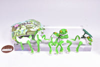 Fuchiyasumi Tree Frog [All 5 type set(Full Complete)]
