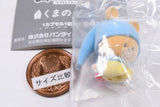 capsule flockies The Bear's School [4.Roro]
