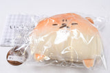 Yeast ken. Face Mascot [2.Tosaanko]