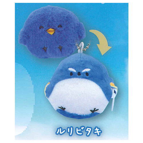 Kurutto seichosuru hiyoko [5.Red-flanked bluetail]