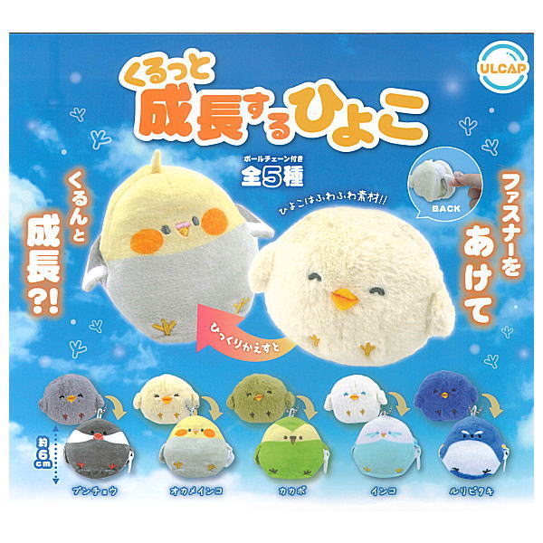 Kurutto seichosuru hiyoko [All 5 type set (Full Complete)]