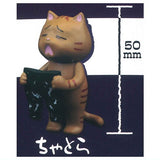 Despair Cat [5.Chatora]