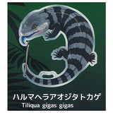Gecko Lover Carabiner [1.Harimaura Blue-tailed Skink]