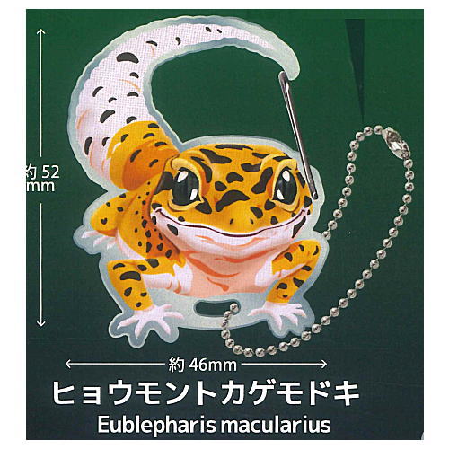 Gecko Lover Carabiner [2.Leopard Gecko]