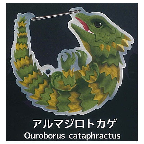 Gecko Lover Carabiner [4.Armadillo Lizard]