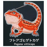 Gecko Lover Carabiner [5.Bearded Dragon]