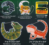 Gecko Lover Carabiner [All 5 type set (Full Complete)]