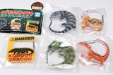 Gecko Lover Carabiner [All 5 type set (Full Complete)]
