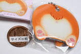 Purikketsu Chirarimi Slide Mirror Charm [1.Corgiketsu]