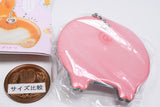 Purikketsu Chirarimi Slide Mirror Charm [3.Butaketsu]