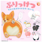 Purikketsu Chirarimi Slide Mirror Charm [All 5 type set(Full Complete)]