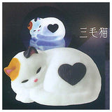 Tenori light Cat [2.Mike Cat]
