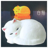 Tenori light Cat [3.White Cat]
