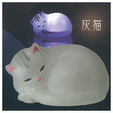 Tenori light Cat [4.Gray Cat]