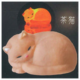 Tenori light Cat [5.Brown Cat]
