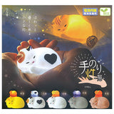 Tenori light Cat [All 5 type set(Full Complete)]