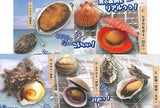Punyutto!? Hiraku! Kainohamayaki mascot Part.3 [All 5 type set(Full Complete)]