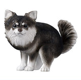 Funbari-nu Part.2 [4.Chihuahua (Black and Tan)]