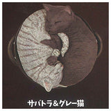 Nabeneko [2.Sabatora & Gray Cat]