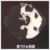 Nabeneko [3.Black Buchi & Black Cat]