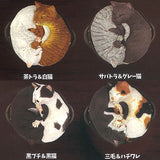 Nabeneko [All 4 type set(Full Complete)]