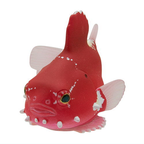 Nature Techni Color MONO PLUS Seaside creatures Magnet & Ball Chain Part.2 [3.Cyclopteridae (Red)]