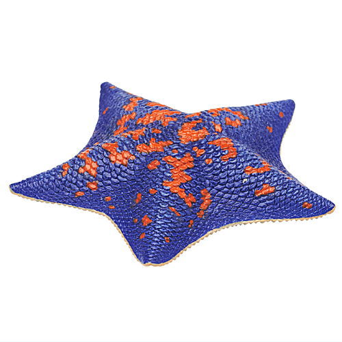 Nature Techni Color MONO PLUS Seaside creatures Magnet & Ball Chain Part.2 [5.Patiria pectinifera]