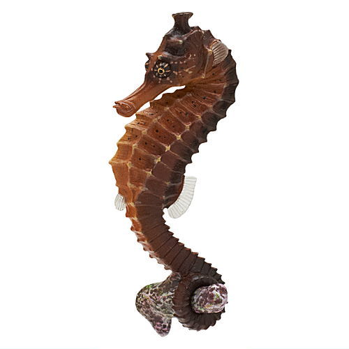 Nature Techni Color MONO PLUS Seaside creatures Magnet & Ball Chain Part.2 [7.Hippocampus kelloggi (dark brown)]