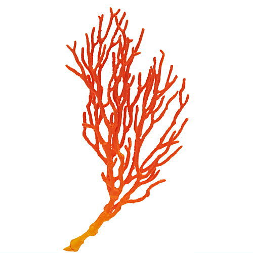 Nature Techni Color MONO PLUS Seaside creatures Magnet & Ball Chain Part.2 [8.Melithaea flabellifera (orange)]