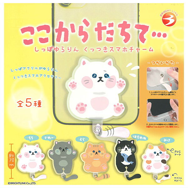 Kokokaradachite Kuttsuki smartphone charm [All 5 type set(Full Complete)]