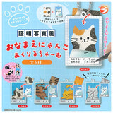 ID photo style name nyanko acrylic charm [All 5 type set(Full Complete)]