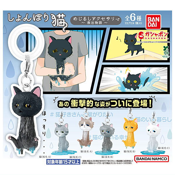 Shonborineko Mejirushi Accessory Rescue Story [All 6 type set(Full Complete)]