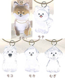 Wanko Time Capsule [All 5 type set(Full Complete)]